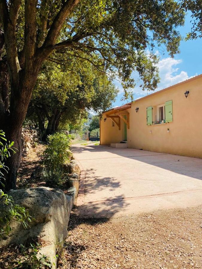 Villa de standing, piscine chauffée,Balagne, Pietralba Extérieur photo